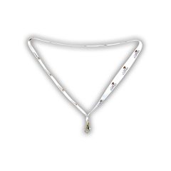 NYAKPÁNT - CARP EXPERT