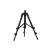 CARP EXPERT MINI TRIPOD