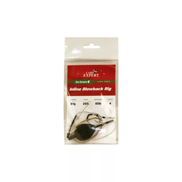 CARP EXPERT LEADFREE GO GREEN INLINE BLOW -BACK RIG 80G