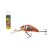 SALMO WOBBLER HORNET H5F SRO
