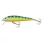 SALMO WOBBLER MINNOW M6F GT