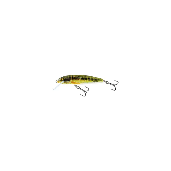 SALMO WOBBLER MINNOW M6S HRM