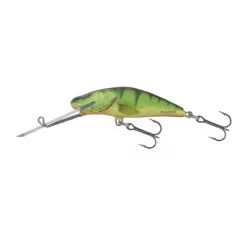 SALMO WOBBLER BULLHEAD BD6SDR HP