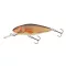 SALMO WOBBLER PERCH PH8DR RR