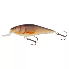 SALMO WOBBLER EXECUTOR IEX5SRF RR