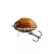 SALMO WOBBLER LIL BUG BG2F MBG