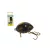 SALMO WOBBLER LIL BUG BG2F BLACK BUG
