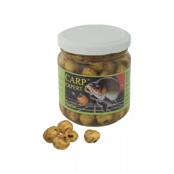 CARP EXPERT TIGRISMOGYORO ÜVEGES LÉBEN KAGYLÓ