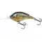 LIVETARGET PUMPKINSEED FLAT-SIDE SQUAREBILL METALLIC/GLOSS 60 MM 7 G FLOATING