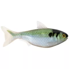  LIVETARGET 5.5” SHAD UNRIGGED BLACK / SILVER 140 MM   SINKING