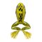 LIVETARGET 2.5” FREESTYLE FROG 2.0 MOSS / YELLOW 60 MM  FLOATING