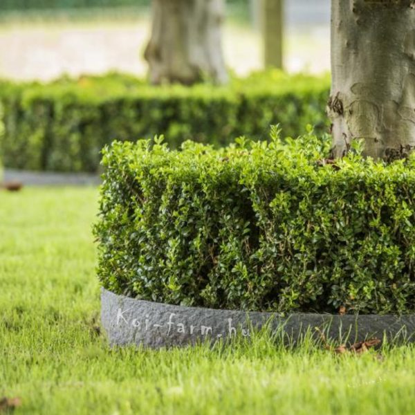 ecolat Tóperem és ágyásszegély egész tekercs 25 m x 14 cm x 0,7 cm Antracit ár/méter