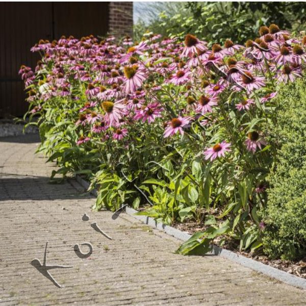 ecolat Tóperem és ágyásszegély egész tekercs 25 m x 14 cm x 0,7 cm Antracit ár/méter