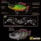 Biwaa SWIMBAIT SEVEN S5" 13cm 34gr 02 Real Perch