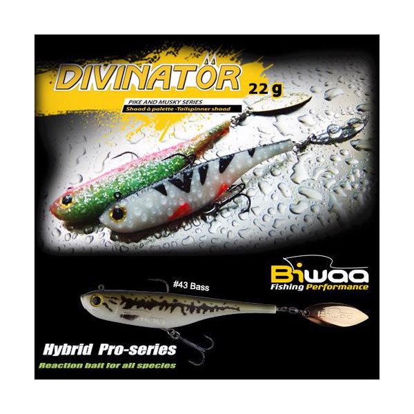 DIVINATOR JUNIOR 14cm 22gr 43 Bass