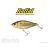Biwaa GLIDER RAFFAL 4" S 10cm 43gr 12 Carassin