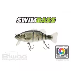Biwaa SWIMBASS 6" SLOW SINK 15cm 65gr 51 Brazino