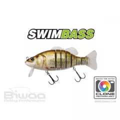 Biwaa SWIMBASS 6" SLOW SINK 15cm 65gr 12 Carassin