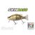 Biwaa SWIMBASS 6" SLOW SINK 15cm 65gr 12 Carassin