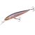 MAJOR CRAFT CEANA JERKBAIT 90SPM MIDDLE 9cm 11gr #014 Holo Tennessee