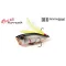 DUO REALIS POPPER 64 6.4cm 9gr CCC3177 Jewel Beetle