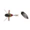 DUO REALIS SHINMUSHI 4.0cm 5.7gr CCC3233 Sunset Moth
