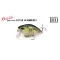 DUO REALIS CRANK 50SSR KABUKI 5cm 8.5gr CCC3307 Omnicraw II