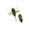 DUO REALIS KOSHINMUSHI 3.0cm 3.1gr CCC3218 Kinkame