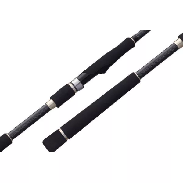 Graphiteleader ARGENTO UX 21GARGUS-932ML 2.82m R-FAST 7-28gr Medium Light