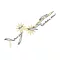MEGABASS VISION ONETEN 110.5mm 14gr M CHART BACK