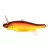 MEGABASS ANTHRAX 100 100mm 14gr AKA TORA