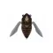MEGABASS SIGLETT 36.5mm 5.25gr HIGURASHI