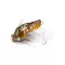 MEGABASS SIGLETT 36.5mm 5.25gr HIGURASHI
