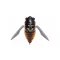 MEGABASS GRAN SIGLETT 42.5mm 7gr ABURA ZEMI