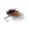 MEGABASS GRAN SIGLETT 42.5mm 7gr ABURA ZEMI