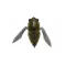 MEGABASS GRAN SIGLETT 42.5mm 7gr FF AVOCADO
