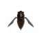 MEGABASS GRAN SIGLETT 42.5mm 7gr FF PHANTOM