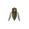 MEGABASS SIGLETT 36.5mm 5.25gr FF AVOCADO