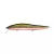 MEGABASS VISION ONETEN LBO SP-C 115mm 14gr M RB SHAD