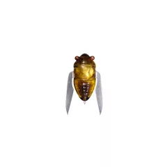 MEGABASS HARUZEMI 23.8mm 1.7gr HARU ZEMI
