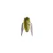 MEGABASS HARUZEMI 23.8mm 1.7gr FF CADDIS OLIVE