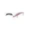 OSP BENT MINNOW 76F 76mm 4.3gr G28 Ghost Shrimp
