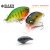 RAID LEVEL CRANK 51mm 10.5gr 018 Bull