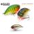 RAID LEVEL CRANK 51mm 10.5gr 022 Bait Japan