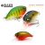Raid Japan RAID LEVEL CRANK 51mm 10.5gr 024 Orepan