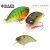RAID LEVEL CRANK 51mm 10.5gr 004 Pearl Shad