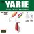 Yarie Jespa YARIE 704 RINGO MIDI 1.8gr YM3 Fruit Strawberry