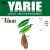 Yarie Jespa YARIE 707T T-ROLL 1.0gr K16 Mobility Beige