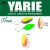 Yarie Jespa YARIE 708T T-FRESH 2.4gr Y53 Lemon/Orange