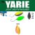Yarie Jespa YARIE 710T T-FRESH EVO 1.5gr AD20 First Fire
